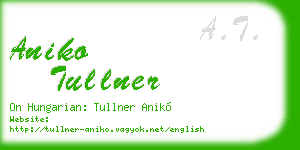 aniko tullner business card